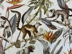 Giungla dei Lemuri: een botanisch avontuur tussen takken en