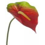 Rood met groene anthurium 78 cm - Overige kunstbloemen, Ophalen of Verzenden
