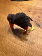 Steiff - Speelgoed Vogel - Duitsland, Antiek en Kunst, Antiek | Speelgoed