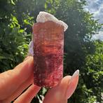 UITZONDERLIJK! Toermalijn var. Rubelliet Kristal - Hoogte:, Verzamelen, Mineralen en Fossielen