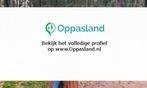 Ik ben lizzy en ik zoek oppaswerk in Haarlem., Diensten en Vakmensen, Dieren | Paarden | Verzorging, Oppas en Les