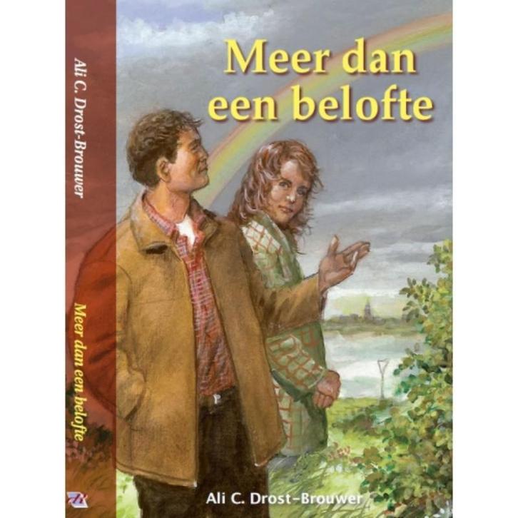 Meer dan een belofte 9789076466590 Ali C. Drost-Brouwer, Boeken, Romans, Gelezen, Verzenden