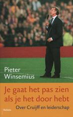 Je gaat het pas zien als je het doorhebt 9789460033520, Verzenden, Gelezen, Pieter Winsemius