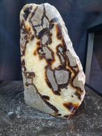 Sculptuur van septaria - Gefossiliseerde plant - 180 mm -
