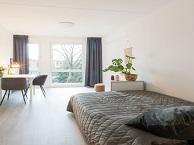 Studio Oostersingel in Groningen, Huizen en Kamers, Huizen te huur, Groningen, Overige soorten