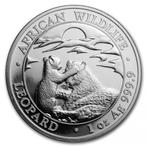 Somalia Leopard 1 oz 2019 (30.000 oplage), Verzenden, Overige landen, Losse munt, Zilver