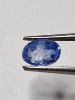 Zonder Minimumprijs Blauw Saffier - 1.31 ct - International, Nieuw