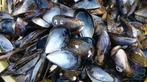 Zeeuwse Mosselen 500 gram, Ophalen of Verzenden, Nieuw