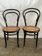 Stoel - Walnoot - Twee stoelen in Thonet-stijl, Antiek en Kunst, Kunst | Designobjecten