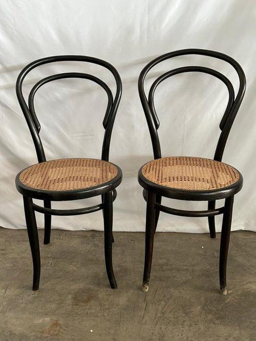 Stoel - Walnoot - Twee stoelen in Thonet-stijl, Antiek en Kunst, Kunst | Designobjecten