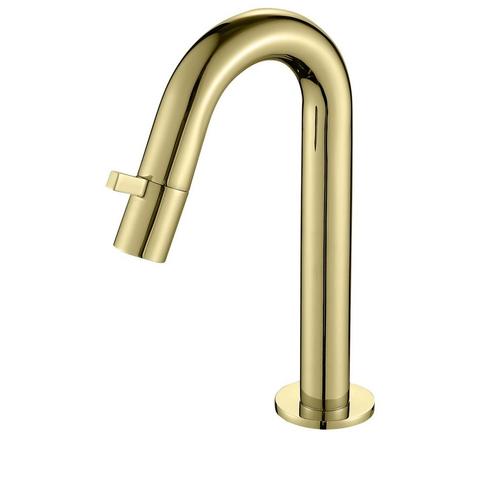 Toiletkraan nancy macine mat-goud, Doe-het-zelf en Verbouw, Sanitair