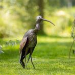 sculptuur, Ibis - 600 mm - Metaal, Antiek en Kunst