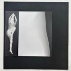 Floris Michael Neusüss (1937-2020) - Fotogram