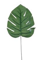 Monstera blad Monstera blad Monstera blad M, Ophalen of Verzenden, Nieuw