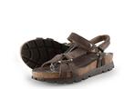 Panama Jack Sandalen in maat 37 Overig, Overige kleuren, Verzenden, Sandalen of Muiltjes, Zo goed als nieuw