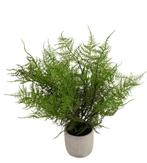 Kunstplant ‘Asparagus’ In Pot | 43cm, Huis en Inrichting, Ophalen, Nieuw