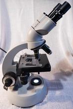 Binocular microscope - NT-6V/10W - 1990-2000 - Duitsland -