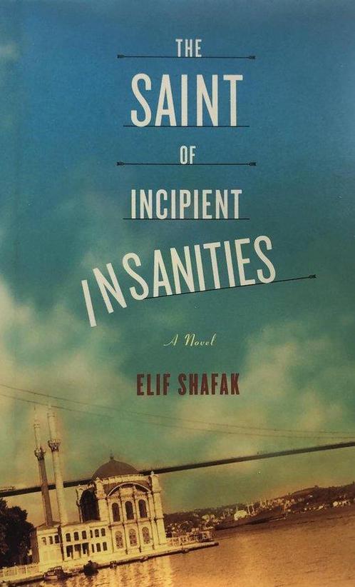 The Saint of Incipient Insanities 9780374253578 Elif Shafak, Boeken, Taal | Engels, Gelezen, Verzenden