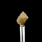 Stolziet - Sainte-Lucie-mijn, Saint-Léger-de-Peyre,