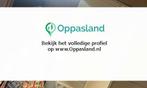 Ik ben Benthe, 16 jaar oud en ik zoek oppaswerk in Benede...