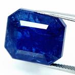 Zonder Minimumprijs Tanzaniet - 27.92 ct - International, Sieraden, Tassen en Uiterlijk, Edelstenen, Nieuw