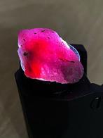 Robijn Ruw. Verbazingwekkende Bloedrobijn Kristal. 39,5 Ct.