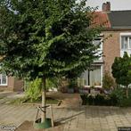 Kamer te huur in Maastricht - 40 m² - 1 kamer(s), Maastricht