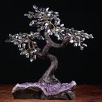 Bonsai Boom met Amethist Drusa en Glanzende Hematiet