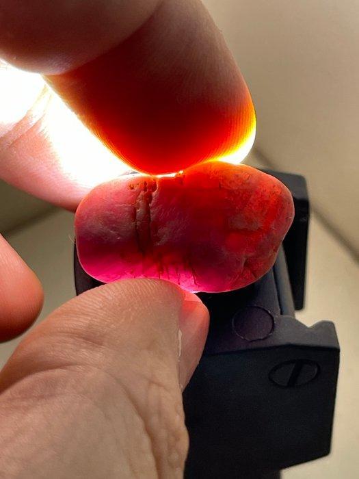 Robijn Ruw. Uitzonderlijke Mozambique Robijn. “Gemmy”, Verzamelen, Mineralen en Fossielen