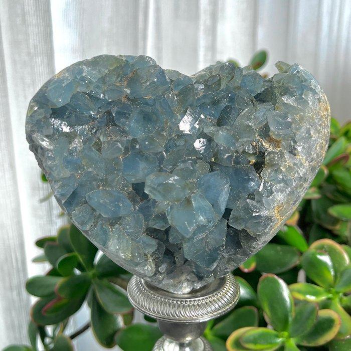 celestine Blue Celstine Geode Heart Cluster - Hoogte: 14.5, Verzamelen, Mineralen en Fossielen