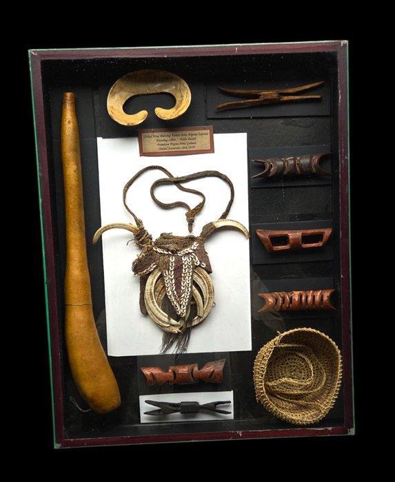 Curiosity cabinet: Rare presentation of the Asmat Travel, Antiek en Kunst, Curiosa en Brocante