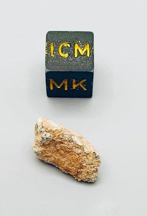 Maanmeteoriet Achondrite - NWA 15018 - Hoogte: 15 mm -, Verzamelen, Mineralen en Fossielen