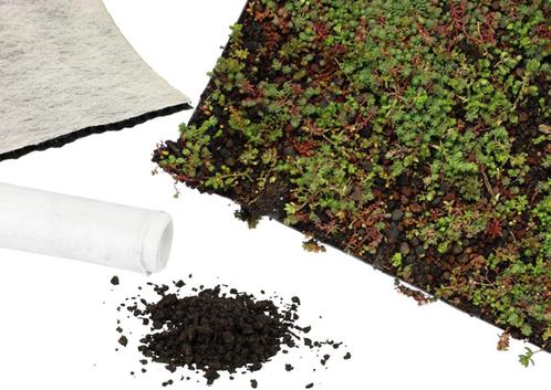 Sedummat | Per M2 | Incl. onderdoek, drainage, substraatkorr, Tuin en Terras, Planten | Bomen, Ophalen of Verzenden