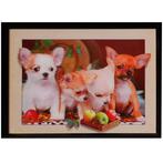 3d schilderij Chihuahua puppies NIEUW, Nieuw, Ophalen of Verzenden