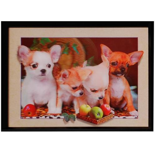 3d schilderij Chihuahua puppies NIEUW, Huis en Inrichting, Woonaccessoires | Schilderijen, Tekeningen en Foto's, Nieuw, Ophalen of Verzenden