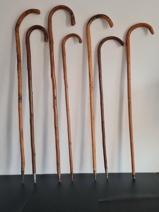 Wandelstok (7) - Hout, Antiek en Kunst, Curiosa en Brocante
