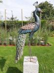 Very large sculpture of a peacock - metal