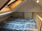 Studio Akersteenweg in Maastricht, Overige soorten, Limburg