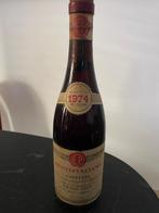 1974 Emidio Pepe Montepulciano d’Abruzzo - Abruzzo - 1 Fles, Verzamelen, Nieuw