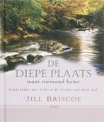 DIEPE PLAATS WAAR NIEMAND KOMT, DE 9789033814570, Boeken, Verzenden, Gelezen, Joanna Briscoe