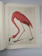 John James Audubon - The Original Water-Color Paintings by, Antiek en Kunst, Antiek | Boeken en Bijbels