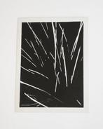 Anna Khavro - Rite of spring Rewrites - Signed gelatin