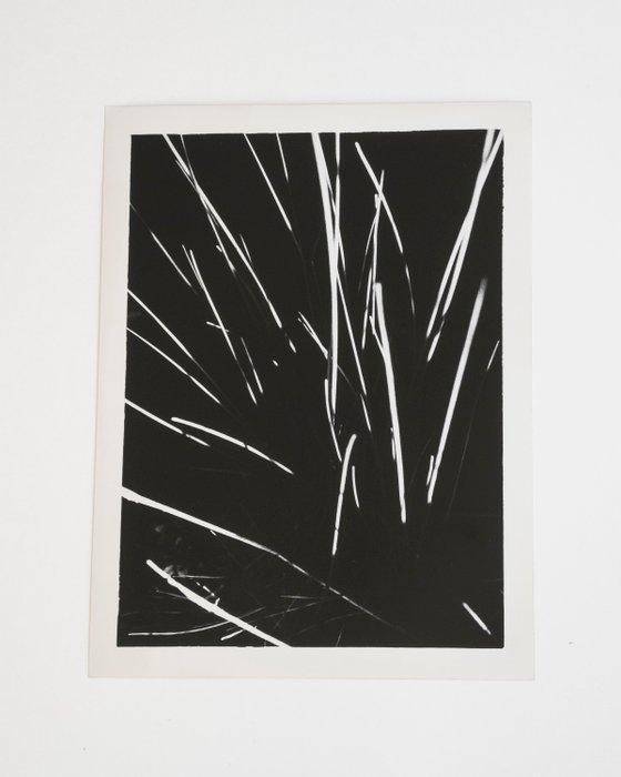 Anna Khavro - Rite of spring Rewrites - Signed gelatin, Antiek en Kunst, Kunst | Designobjecten