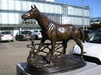 Beeld, Paard - 7 kg - 29 cm - Gepatineerd brons, Antiek en Kunst