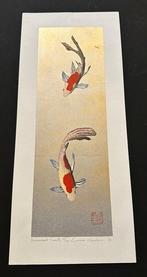 Decembers Comets Fortune Carp Koi fish - Limited editon