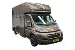 Citroen Jumper Horsetruck, Verzenden, Gebruikt