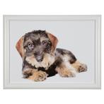 schootkussen teckel liggend 43cm, Verzenden, Nieuw