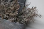 Brynxz namaak tak Juniperus/sedum grey, Nieuw, Ophalen of Verzenden