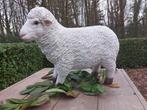 Beeld, big English woolly sheep (ROMNEY) - 47 cm - MGO