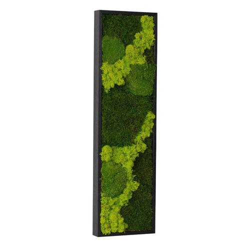Vintlux Mosschilderij 15x60 cm Zwart - Nybro, Huis en Inrichting, Woonaccessoires | Wanddecoraties